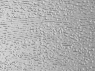 Тиснение woodgrain